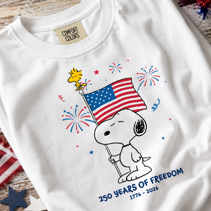 Comfort Colors 250 Years Of Freedom Fireworks Patriotic Dog T-Shirt