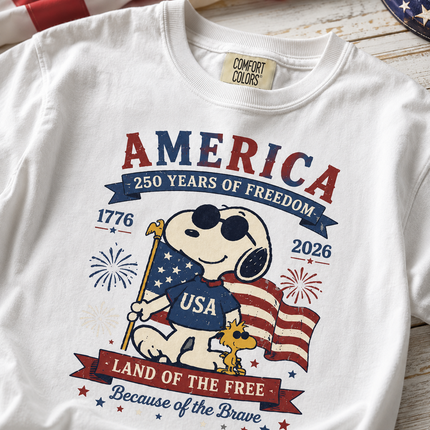 Comfort Colors 250th Anniversary USA Land Of The Free T-Shirt