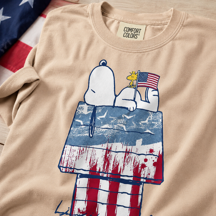 Comfort Colors 250th Anniversary USA Patriotic Doghouse T-Shirt