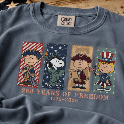 Comfort Colors 250 Years Of Freedom USA Historical Panel Squad T-Shirt