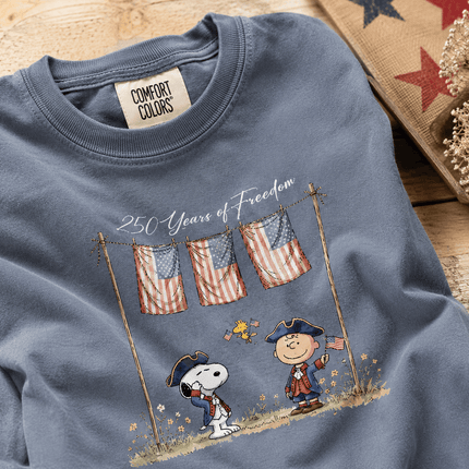 Comfort Colors 250 Years of Freedom USA Colonial Friends T-Shirt