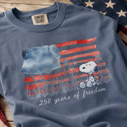 Comfort Colors Watercolor Flag America 250 T-Shirt
