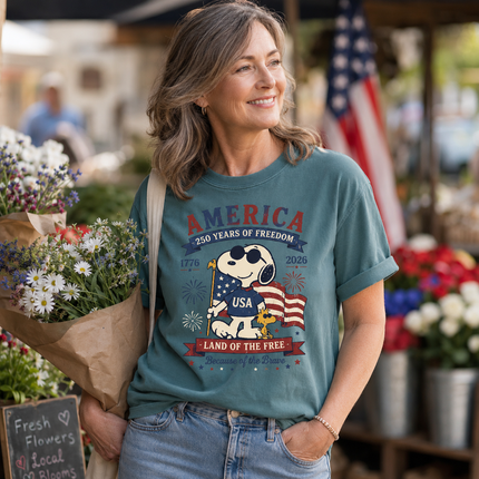 Comfort Colors 250th Anniversary USA Land Of The Free T-Shirt