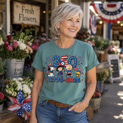 Comfort Colors 250 Years 1776-2026 Patriotic Fireworks Friends T-Shirt