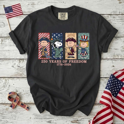Comfort Colors 250 Years Of Freedom USA Historical Panel Squad T-Shirt