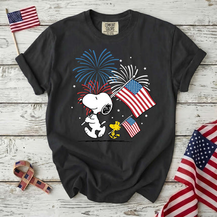 Comfort Colors 250th Anniversary USA Fireworks T-Shirt
