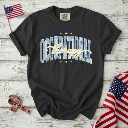 Comfort Colors Occupational Therapy Retro Collegiate Therapist Gift T-Shirt
