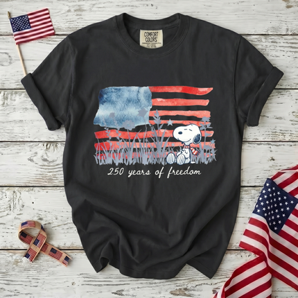 Comfort Colors Watercolor Flag America 250 T-Shirt