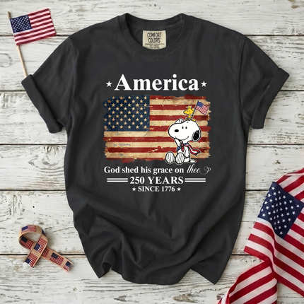 Comfort Colors 250 Years Of Freedom Liberty T-Shirt