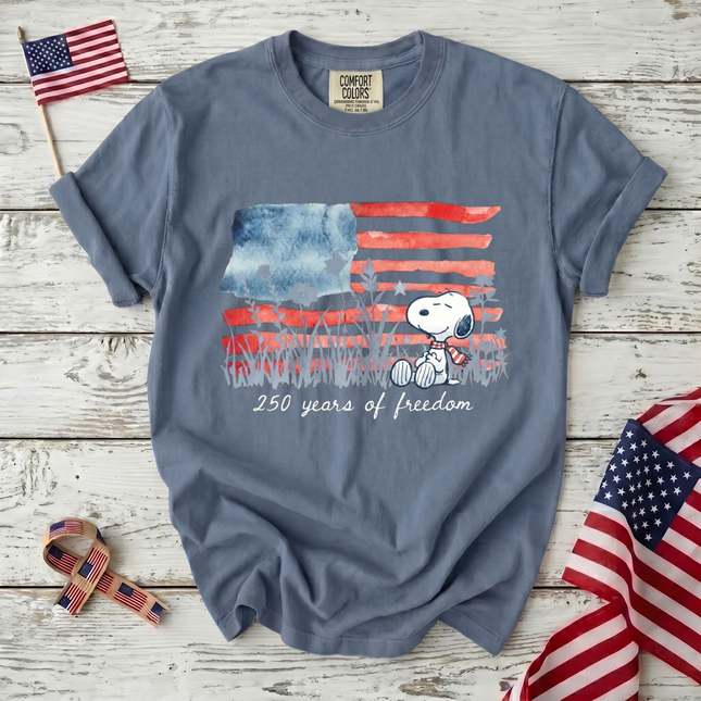 Comfort Colors Watercolor Flag America 250 T-Shirt