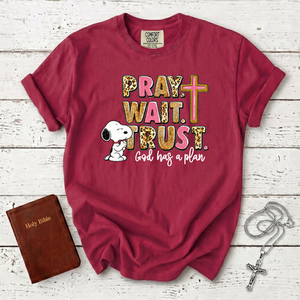 Comfort Colors Pray Wait Trust God Has a Plan Christian Cross Faith T-Shirt