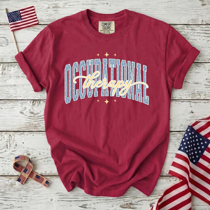Comfort Colors Occupational Therapy Retro Collegiate Therapist Gift T-Shirt