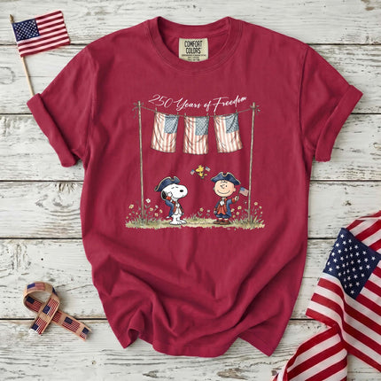 Comfort Colors 250 Years of Freedom USA Colonial Friends T-Shirt
