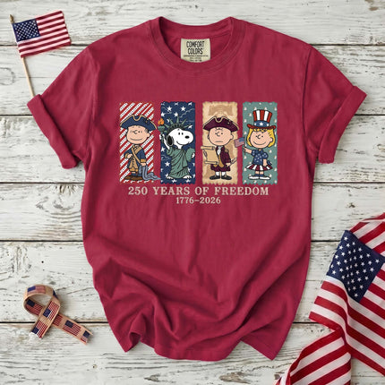 Comfort Colors 250 Years Of Freedom USA Historical Panel Squad T-Shirt