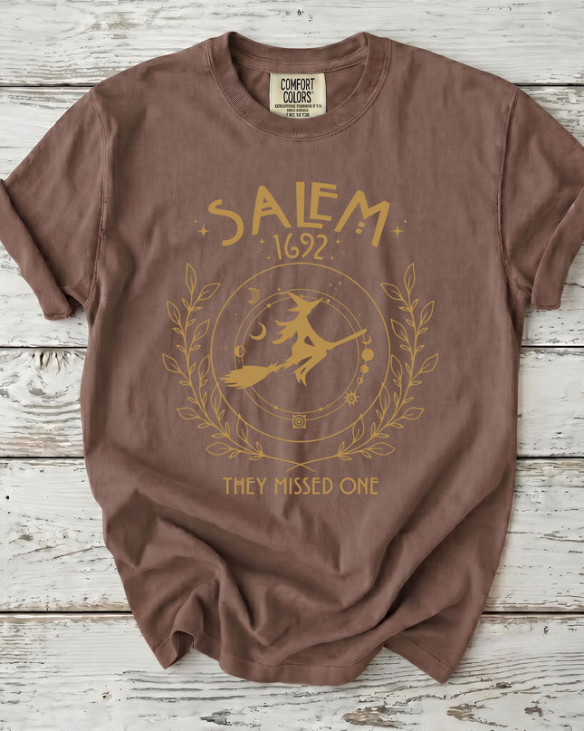 Comfort Colors Salem Witch 1692 Celestial They Missed One T-Shirt