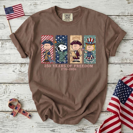 Comfort Colors 250 Years Of Freedom USA Historical Panel Squad T-Shirt