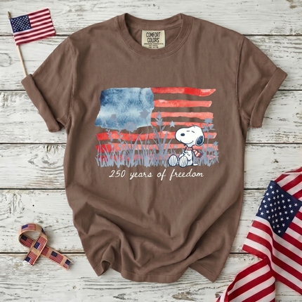 Comfort Colors Watercolor Flag America 250 T-Shirt