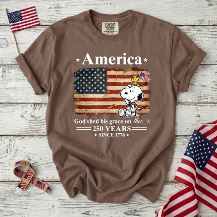 Comfort Colors 250 Years Of Freedom Liberty T-Shirt