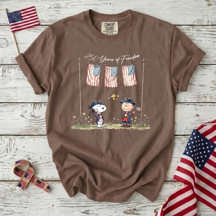 Comfort Colors 250 Years of Freedom USA Colonial Friends T-Shirt