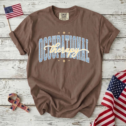Comfort Colors Occupational Therapy Retro Collegiate Therapist Gift T-Shirt
