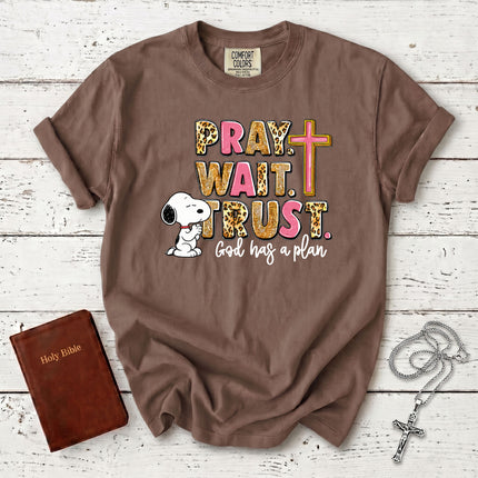 Comfort Colors Pray Wait Trust God Has a Plan Christian Cross Faith T-Shirt