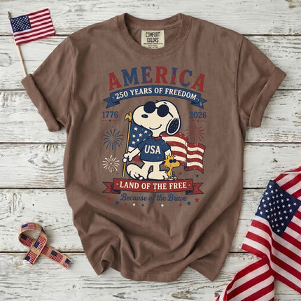 Comfort Colors 250th Anniversary USA Land Of The Free T-Shirt