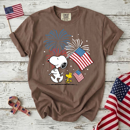 Comfort Colors 250th Anniversary USA Fireworks T-Shirt
