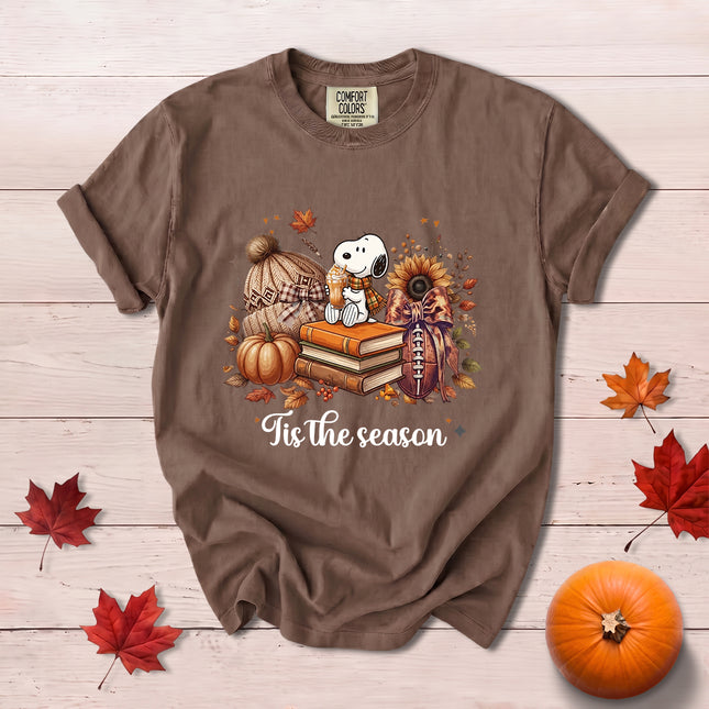 Comfort Colors Fall Autumn Tis The Season Pumpkin Books Cozy Football T-Shirt