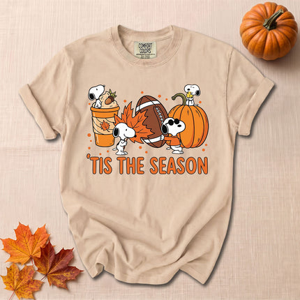 Comfort Colors Fall Football Pumpkin Season T-Shirt