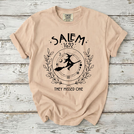 Comfort Colors Salem Witch 1692 Celestial They Missed One T-Shirt