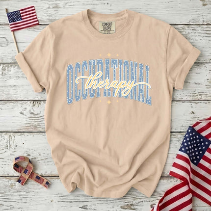 Comfort Colors Occupational Therapy Retro Collegiate Therapist Gift T-Shirt