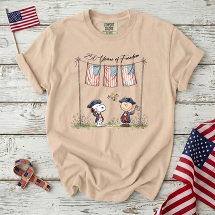 Comfort Colors 250 Years of Freedom USA Colonial Friends T-Shirt
