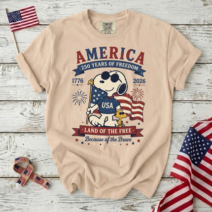 Comfort Colors 250th Anniversary USA Land Of The Free T-Shirt