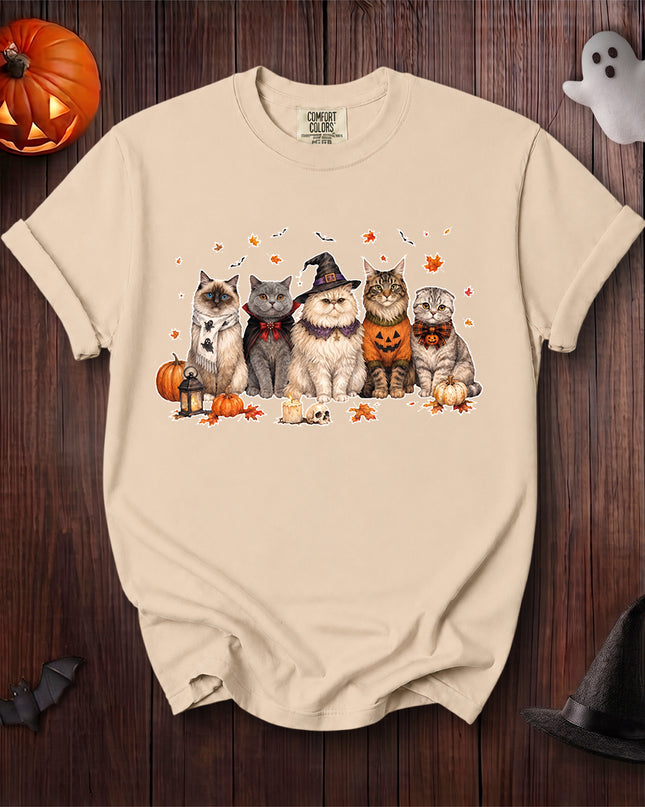 Comfort Colors Black Cat Halloween Cat Coven Pumpkin T-Shirt