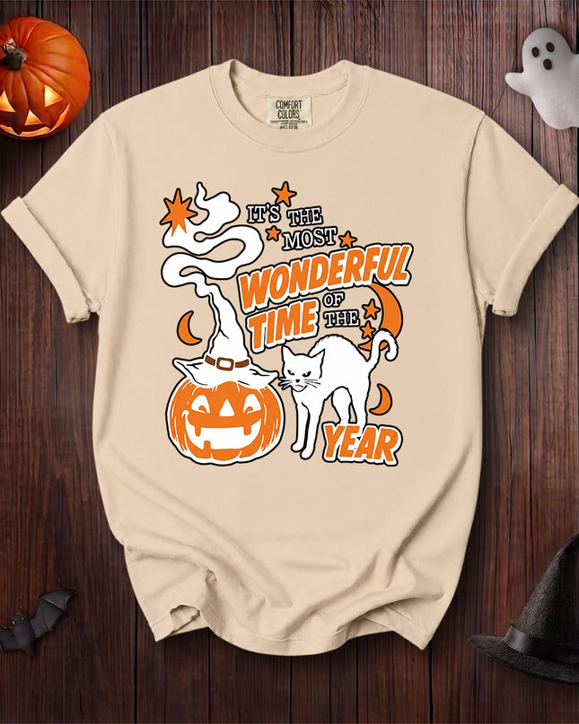 Comfort Colors Black Cat Halloween Wonderful Time Pumpkin T-Shirt