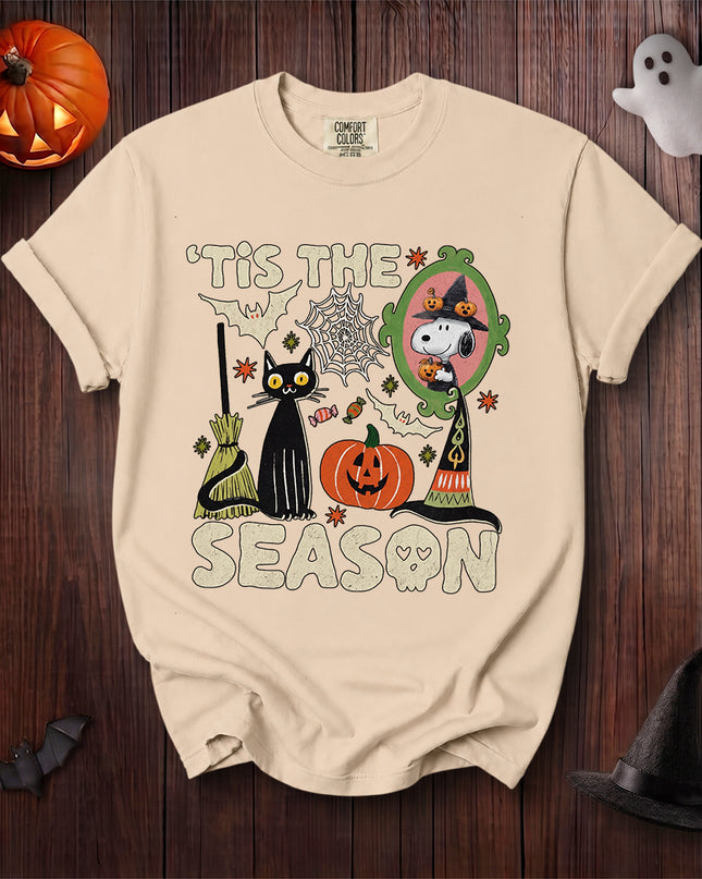 Comfort Colors Halloween Black Cat Witch Mirror Pumpkin T-Shirt