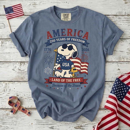 Comfort Colors 250th Anniversary USA Land Of The Free T-Shirt