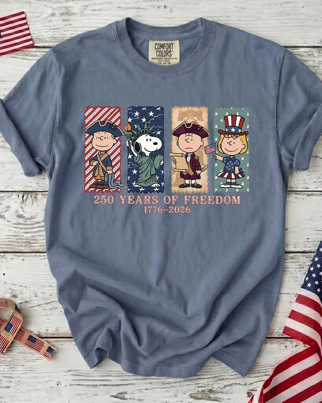 Comfort Colors 250 Years Of Freedom USA Historical Panel Squad T-Shirt