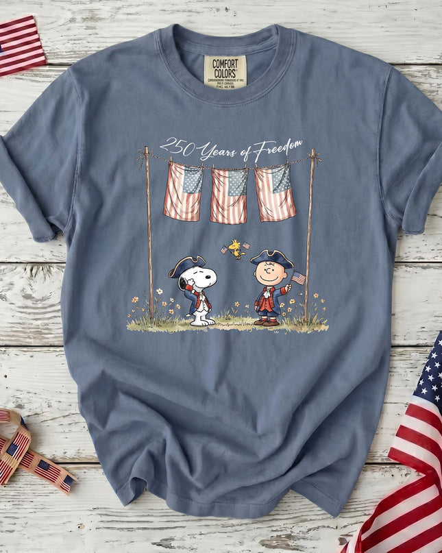 Comfort Colors 250 Years of Freedom USA Colonial Friends T-Shirt