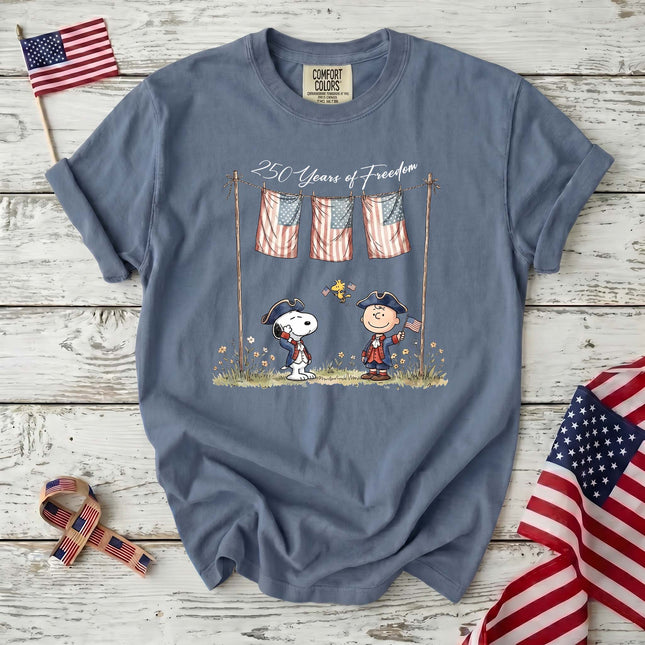 Comfort Colors 250 Years of Freedom USA Colonial Friends T-Shirt