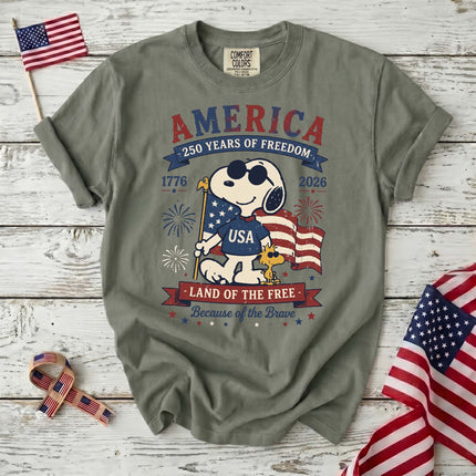 Comfort Colors 250th Anniversary USA Land Of The Free T-Shirt