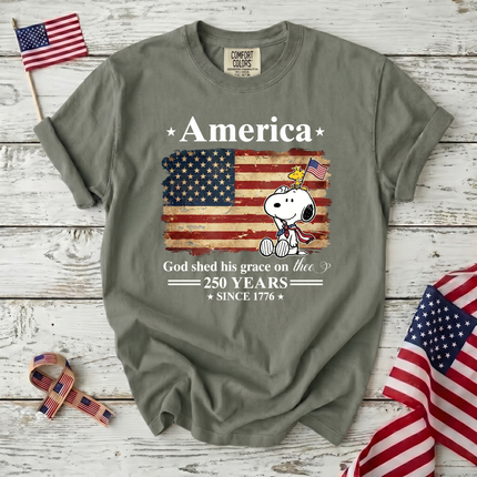 Comfort Colors 250 Years Of Freedom Liberty T-Shirt