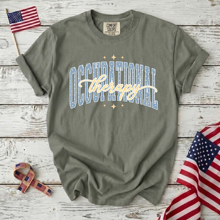 Comfort Colors Occupational Therapy Retro Collegiate Therapist Gift T-Shirt