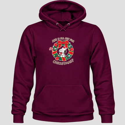 Christmas Wreath Are U All Set for Christmas Hoodie