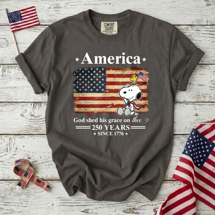 Comfort Colors 250 Years Of Freedom Liberty T-Shirt