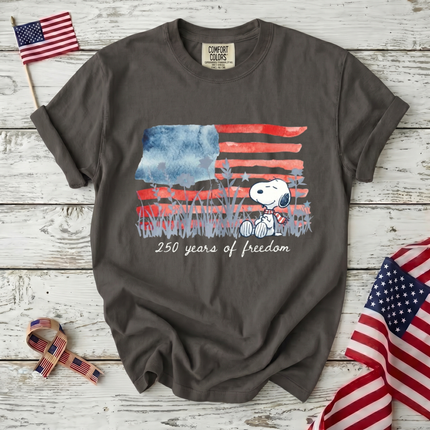 Comfort Colors Watercolor Flag America 250 T-Shirt