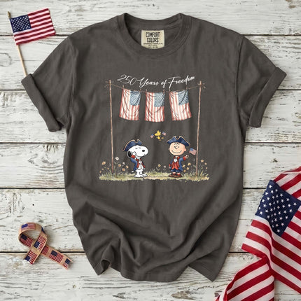 Comfort Colors 250 Years of Freedom USA Colonial Friends T-Shirt