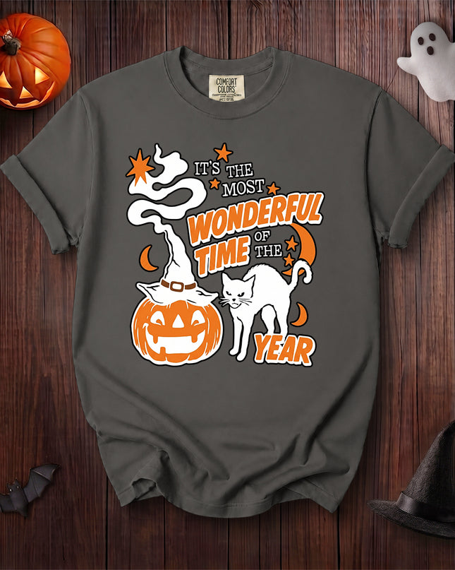 Comfort Colors Black Cat Halloween Wonderful Time Pumpkin T-Shirt