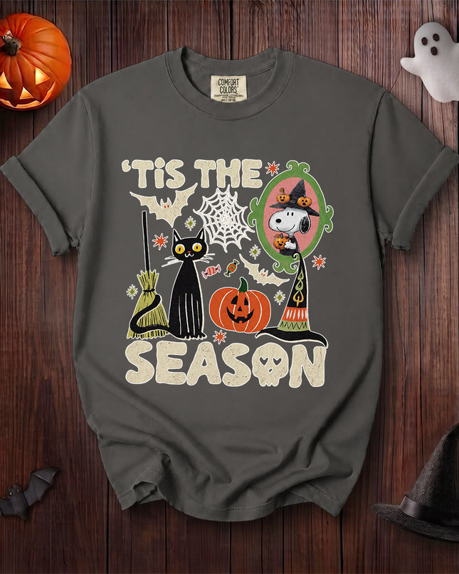 Comfort Colors Halloween Black Cat Witch Mirror Pumpkin T-Shirt