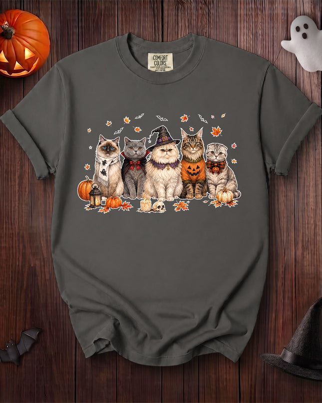 Comfort Colors Black Cat Halloween Cat Coven Pumpkin T-Shirt